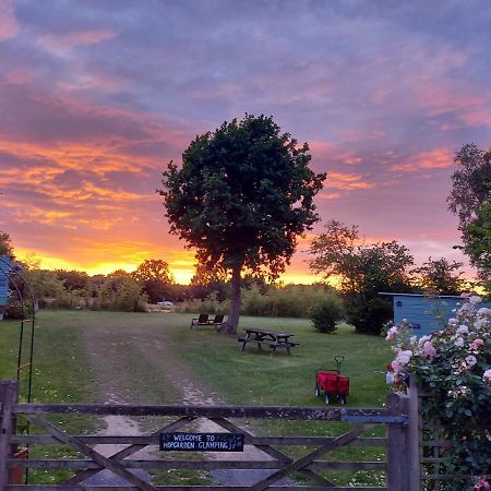 Hopgarden Glamping Luxury Shepherds Huts Wadhurst Ngoại thất bức ảnh