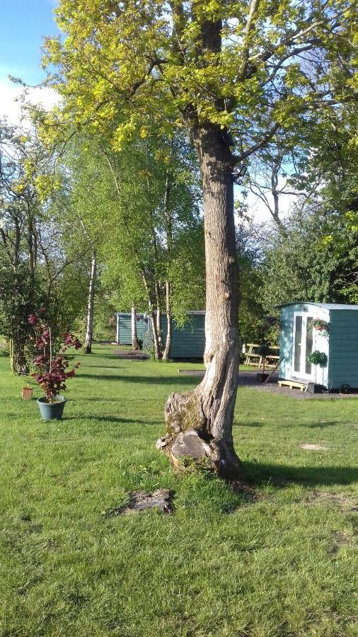 Hopgarden Glamping Luxury Shepherds Huts Wadhurst Ngoại thất bức ảnh
